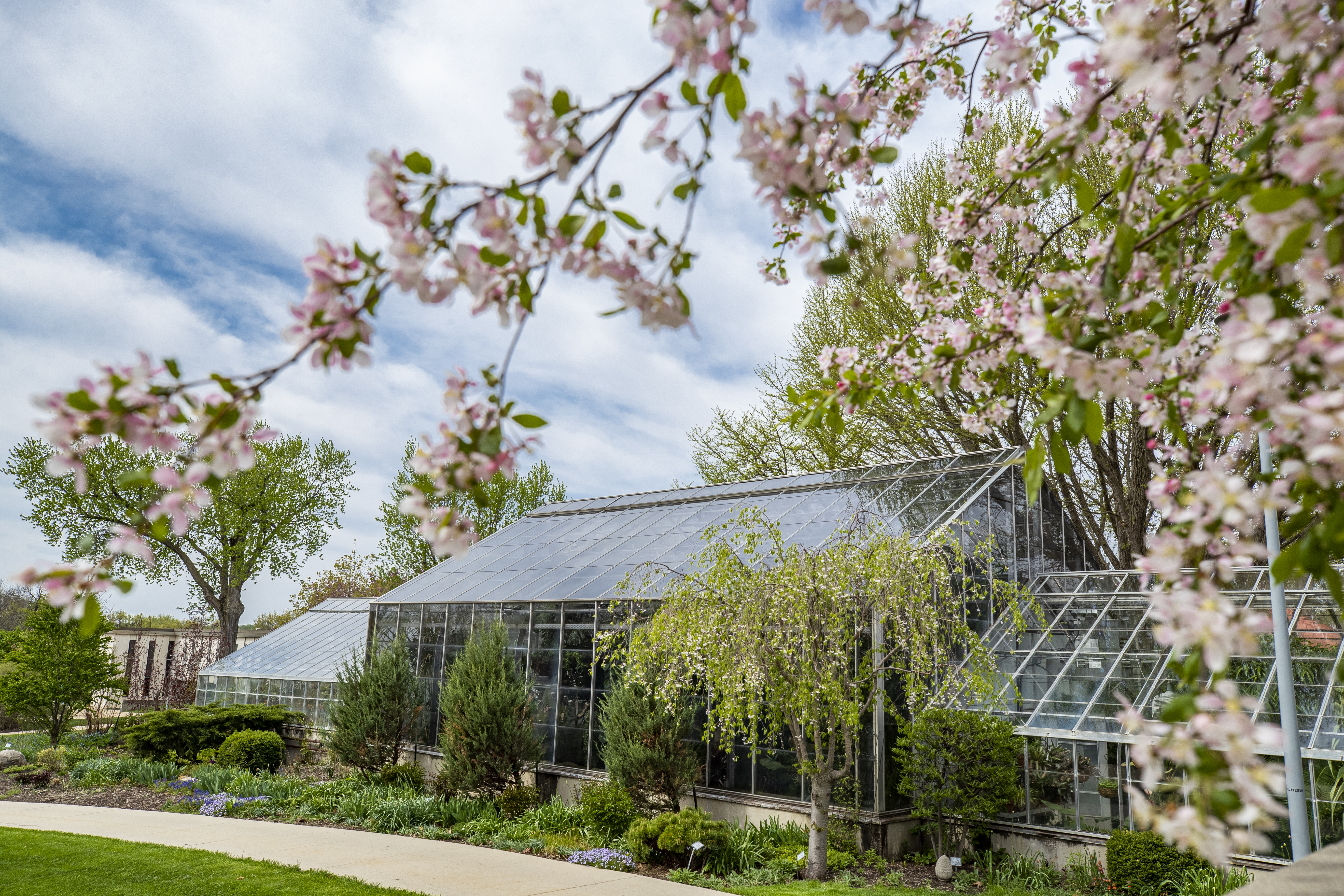 Botanical Center Collection